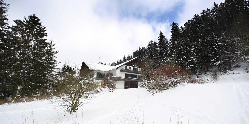Hotel-Pension Zum Paradies Willingen  Zewnętrze zdjęcie