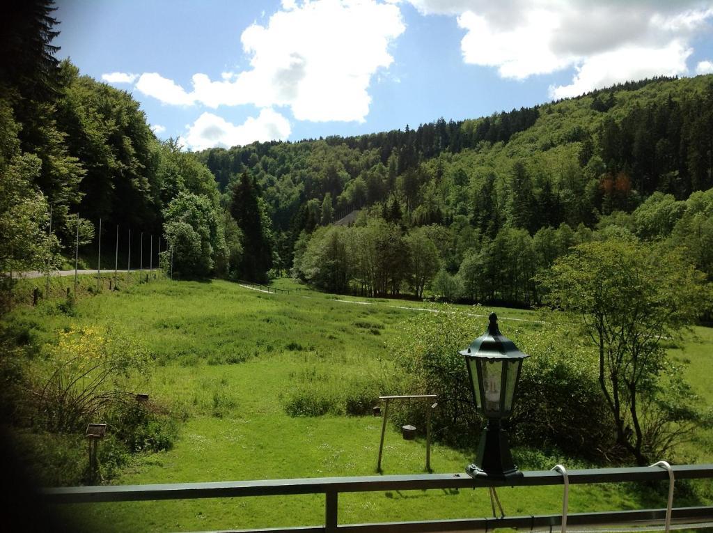 Hotel-Pension Zum Paradies Willingen  Zewnętrze zdjęcie
