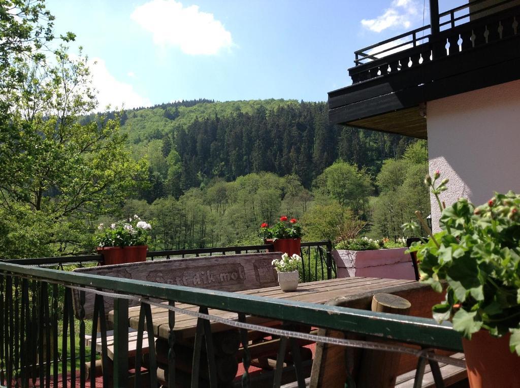 Hotel-Pension Zum Paradies Willingen  Zewnętrze zdjęcie